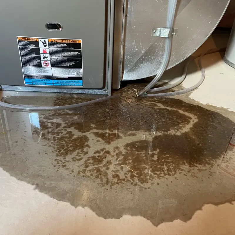 Appliance Leak Cleanup in Hancock County, WV